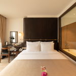 DELUXE DOUBLE/TWIN ROOM